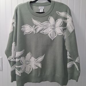 Nicole Miller Floral Crew Neck Sweater - Sage and Ivory